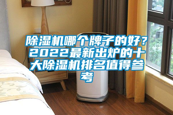 除濕機哪個牌子的好？2022最新出爐的十大除濕機排名值得參考