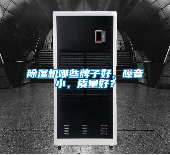 除濕機哪些牌子好，噪音小，質量好？