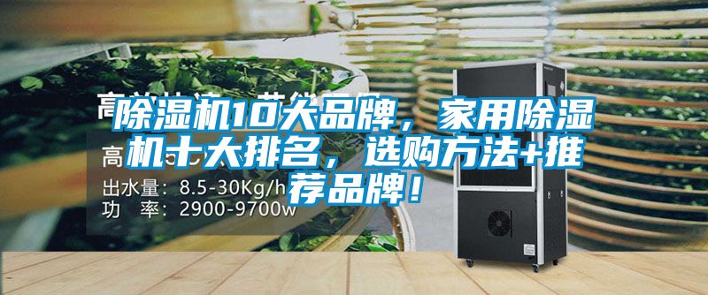 除濕機10大品牌，家用除濕機十大排名，選購方法+推薦品牌！