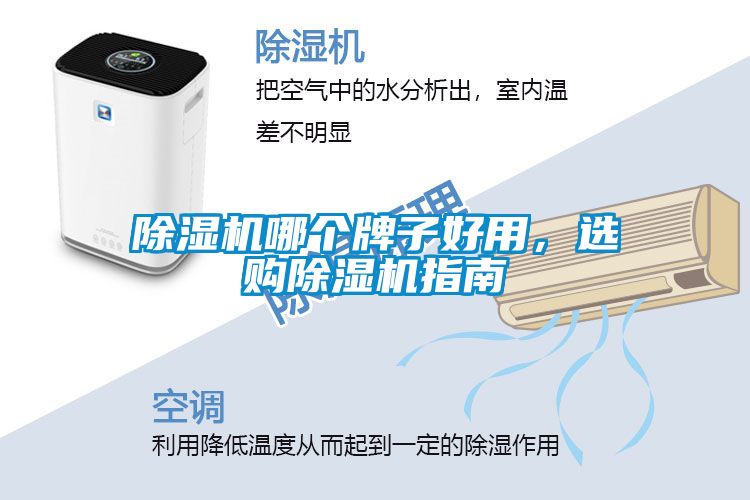 除濕機哪個牌子好用，選購除濕機指南