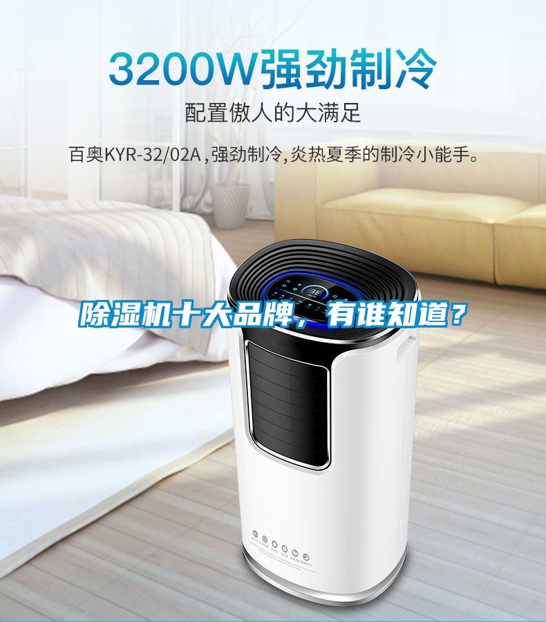 除濕機十大品牌，有誰知道？