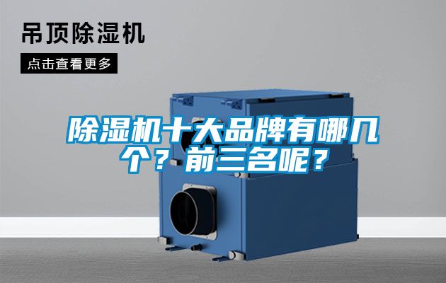 除濕機十大品牌有哪幾個？前三名呢？