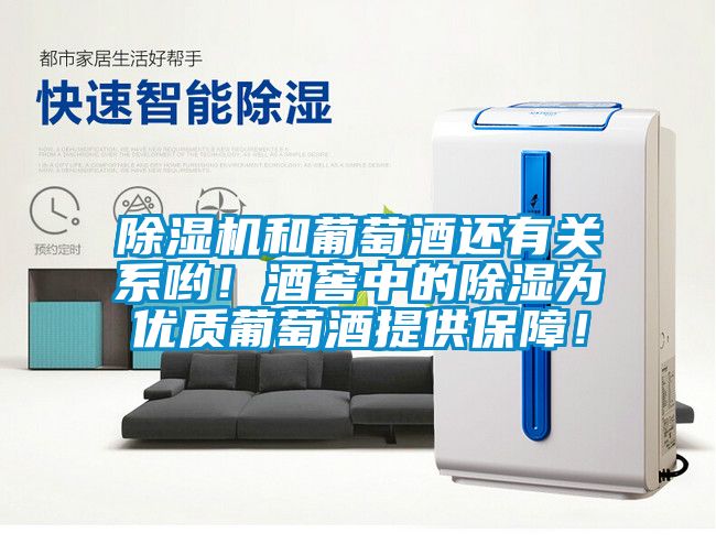 除濕機和葡萄酒還有關系喲！酒窖中的除濕為優質葡萄酒提供保障！