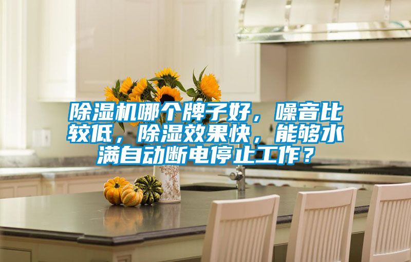 除濕機哪個牌子好，噪音比較低，除濕效果快，能夠水滿自動斷電停止工作？