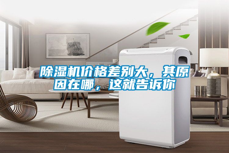 除濕機價格差別大，其原因在哪，這就告訴你