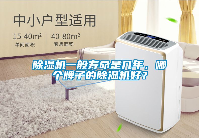 除濕機一般壽命是幾年，哪個牌子的除濕機好？
