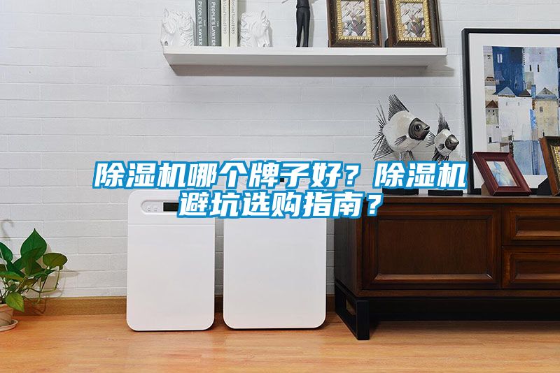 除濕機哪個牌子好？除濕機避坑選購指南？