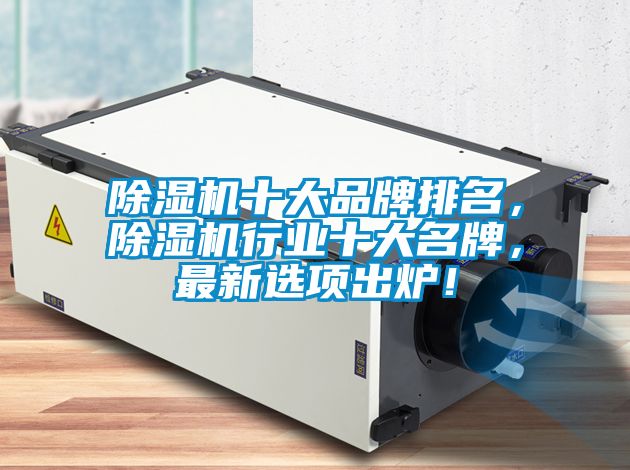 除濕機十大品牌排名，除濕機行業十大名牌，最新選項出爐！