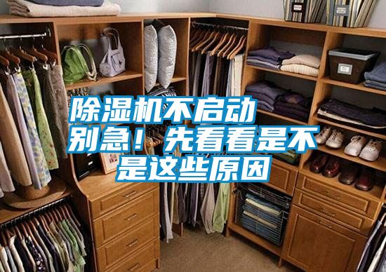 除濕機不啟動   別急！先看看是不是這些原因