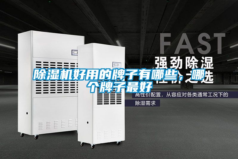 除濕機好用的牌子有哪些，哪個牌子最好