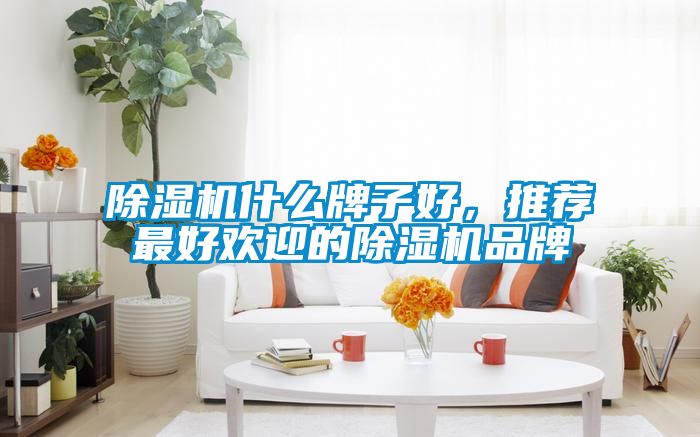 除濕機什么牌子好，推薦最好歡迎的除濕機品牌