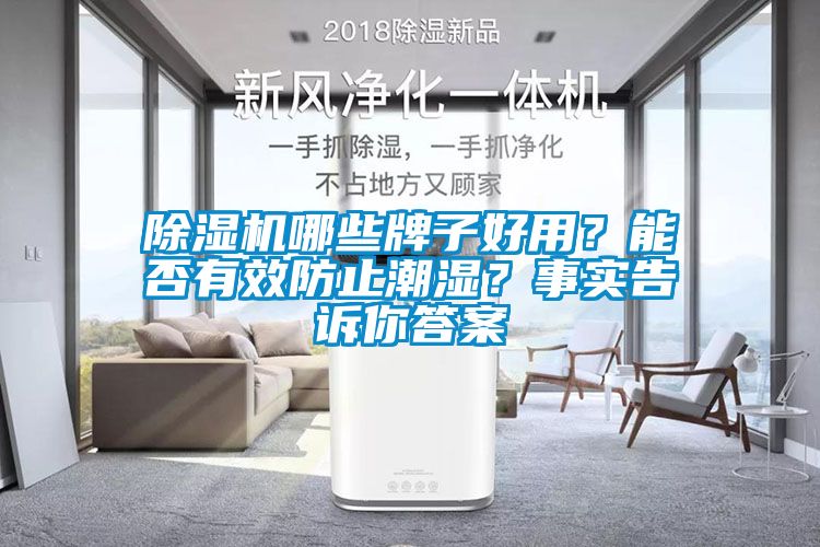 除濕機哪些牌子好用？能否有效防止潮濕？事實告訴你答案