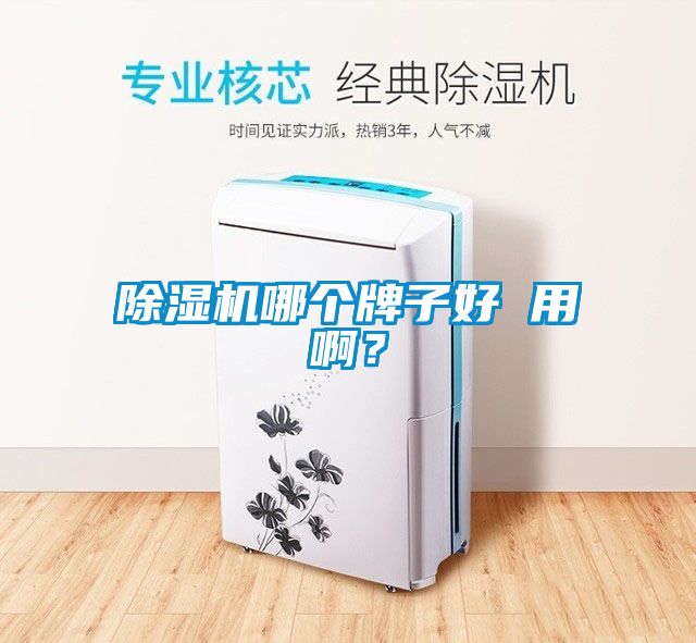 除濕機哪個牌子好 用?。?></div>
								<div   id=