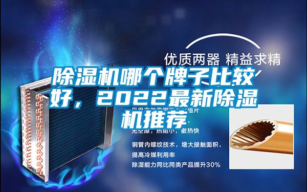 除濕機哪個牌子比較好，2022最新除濕機推薦