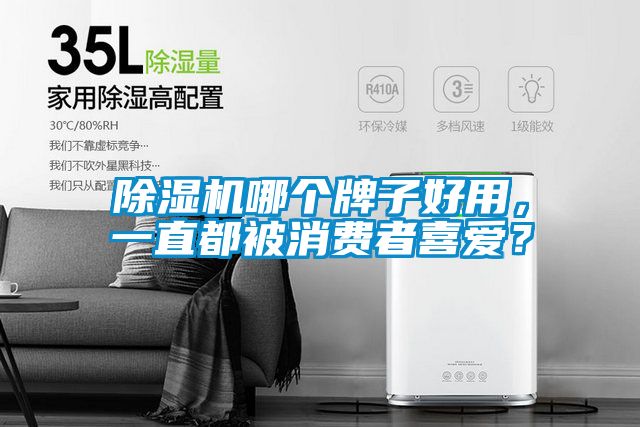 除濕機哪個牌子好用，一直都被消費者喜愛？