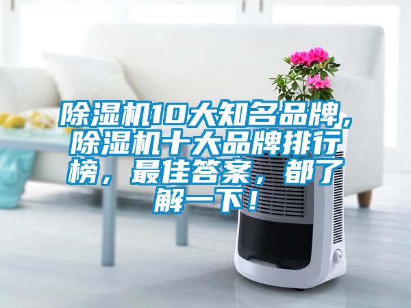 除濕機10大知名品牌，除濕機十大品牌排行榜，最佳答案，都了解一下！