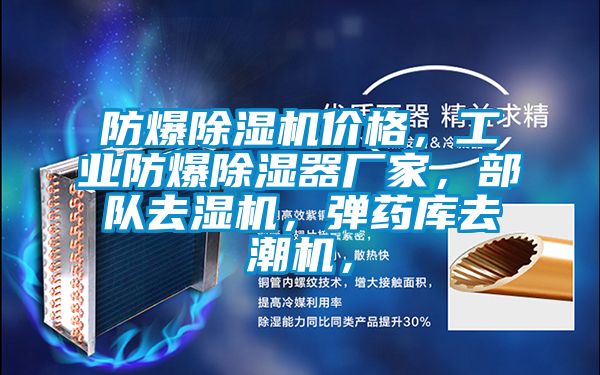 防爆除濕機價格，工業防爆除濕器廠家，部隊去濕機，彈藥庫去潮機，