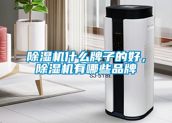除濕機什么牌子的好，除濕機有哪些品牌
