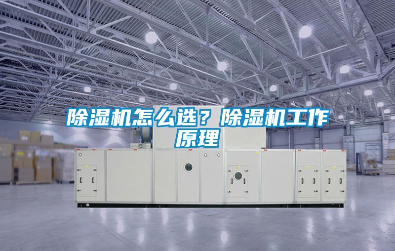 除濕機怎么選？除濕機工作原理