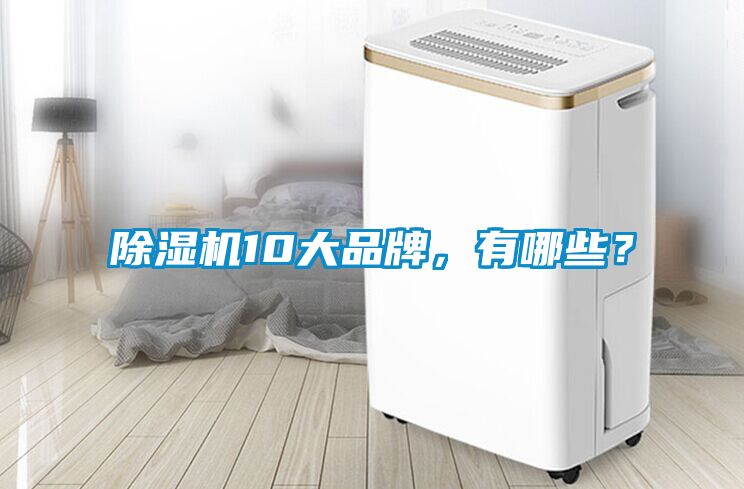 除濕機10大品牌，有哪些？