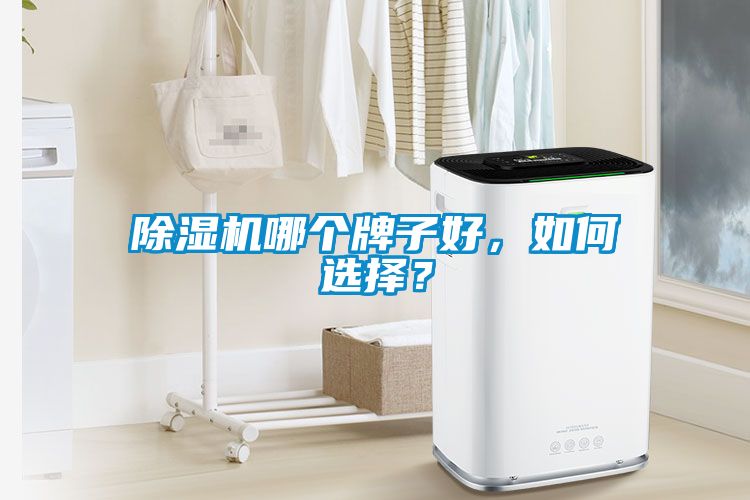 除濕機哪個牌子好，如何選擇？