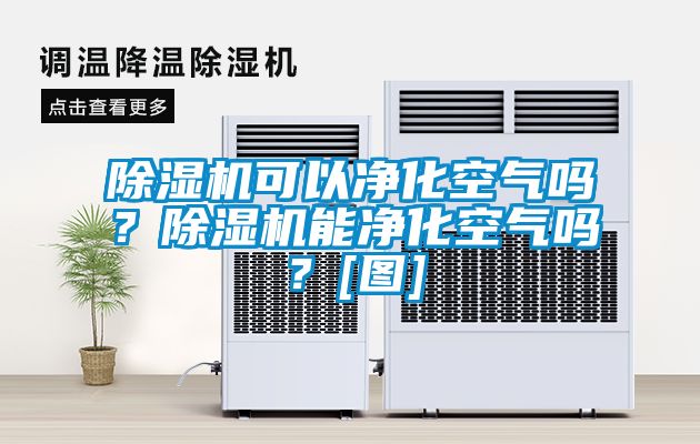 除濕機可以凈化空氣嗎？除濕機能凈化空氣嗎？[圖]