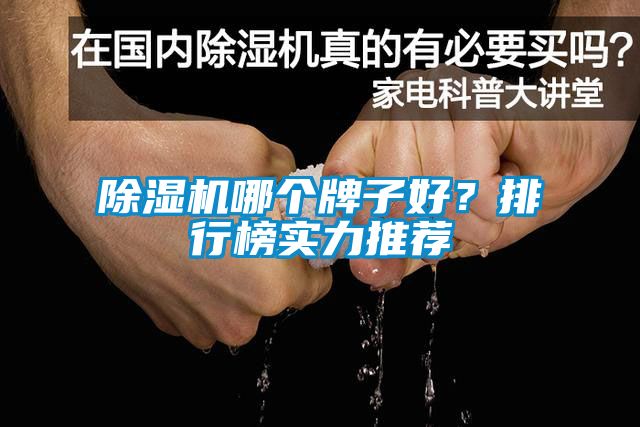 除濕機哪個牌子好？排行榜實力推薦