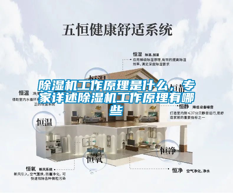 除濕機工作原理是什么，專家詳述除濕機工作原理有哪些