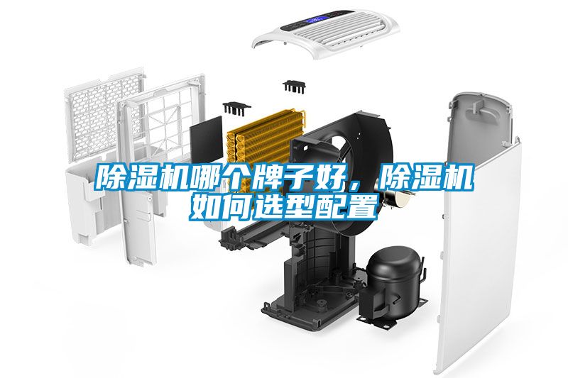 除濕機哪個牌子好，除濕機如何選型配置