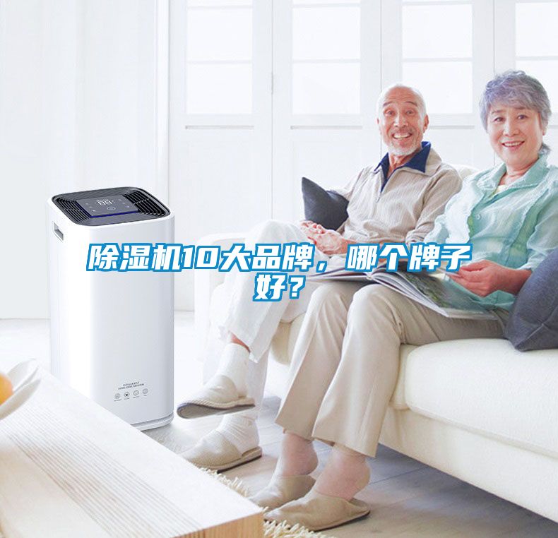 除濕機10大品牌，哪個牌子好？
