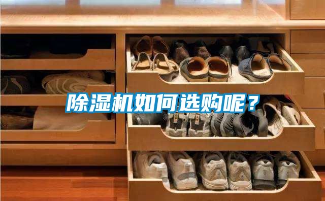 除濕機如何選購呢？