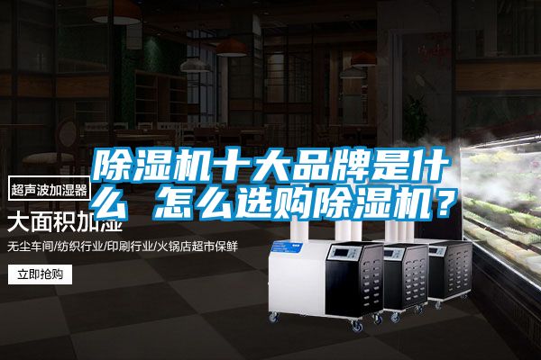 除濕機十大品牌是什么 怎么選購除濕機？