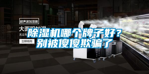 除濕機哪個牌子好？別被傻傻欺騙了