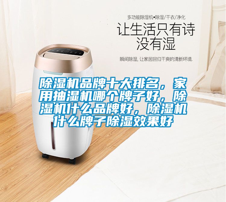 除濕機品牌十大排名，家用抽濕機哪個牌子好，除濕機什么品牌好，除濕機什么牌子除濕效果好