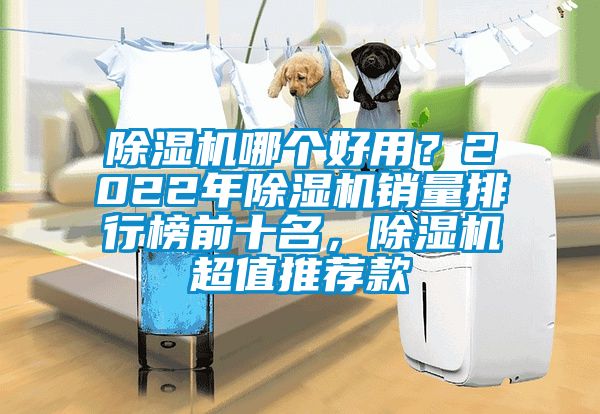 除濕機哪個好用？2022年除濕機銷量排行榜前十名，除濕機超值推薦款