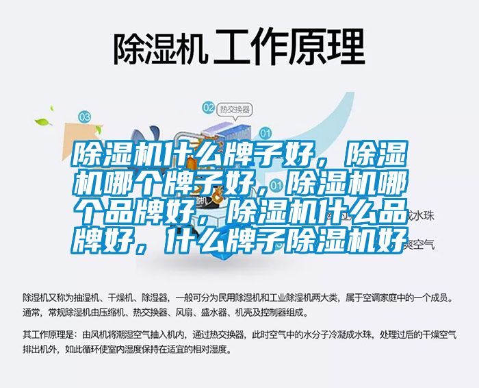 除濕機什么牌子好，除濕機哪個牌子好，除濕機哪個品牌好，除濕機什么品牌好，什么牌子除濕機好