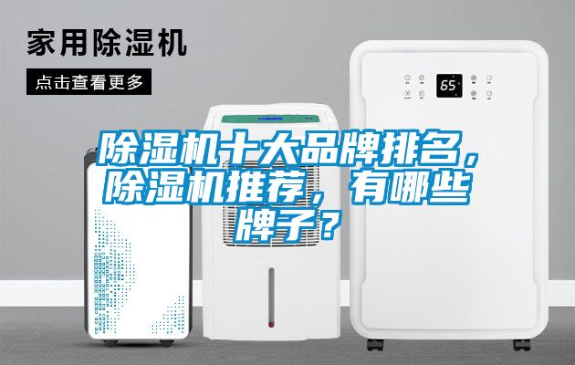 除濕機十大品牌排名，除濕機推薦，有哪些牌子？