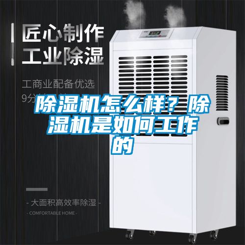 除濕機怎么樣？除濕機是如何工作的