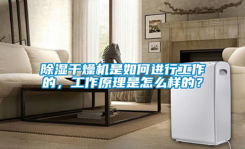 除濕干燥機是如何進行工作的，工作原理是怎么樣的？