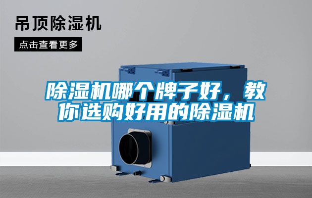 除濕機哪個牌子好，教你選購好用的除濕機