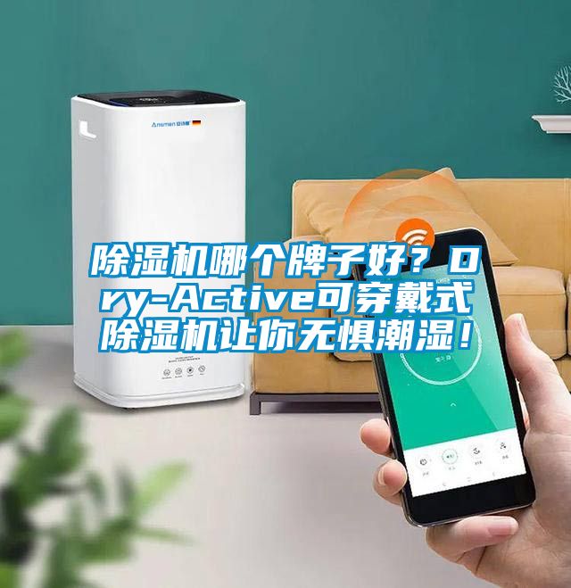 除濕機哪個牌子好？Dry-Active可穿戴式除濕機讓你無懼潮濕！