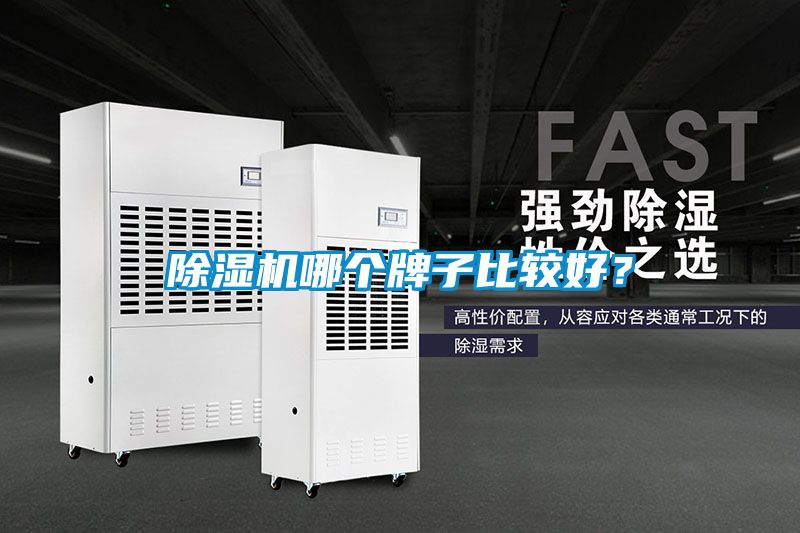 除濕機哪個牌子比較好？