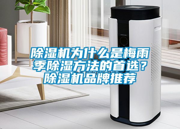 除濕機為什么是梅雨季除濕方法的首選？除濕機品牌推薦