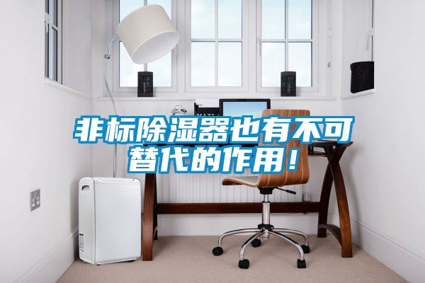 非標除濕器也有不可替代的作用！