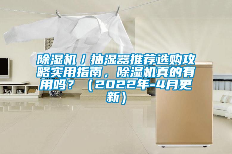 除濕機／抽濕器推薦選購攻略實用指南，除濕機真的有用嗎？（2022年-4月更新）