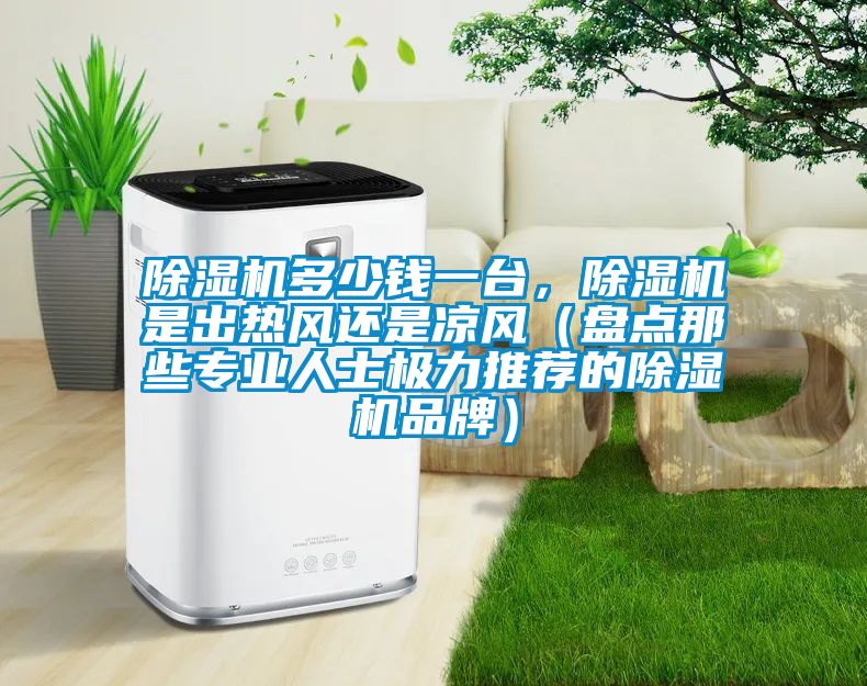 除濕機多少錢一臺，除濕機是出熱風還是涼風（盤點那些專業人士極力推薦的除濕機品牌）