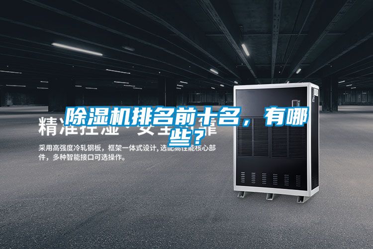 除濕機排名前十名，有哪些？