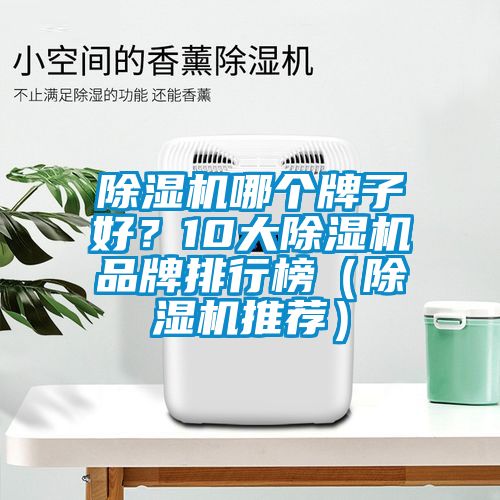 除濕機哪個牌子好？10大除濕機品牌排行榜（除濕機推薦）