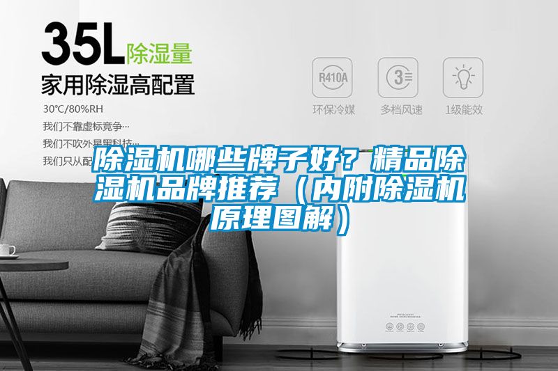 除濕機哪些牌子好？精品除濕機品牌推薦（內附除濕機原理圖解）