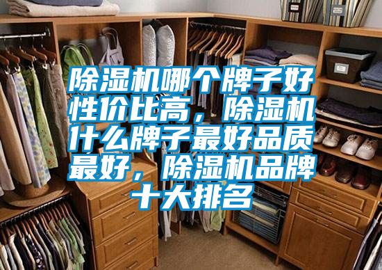 除濕機哪個牌子好性價比高，除濕機什么牌子最好品質最好，除濕機品牌十大排名